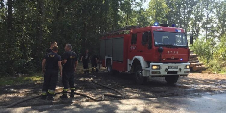 Pożar lasu pod Gorzowem. Ogień w dziewięciu miejscach