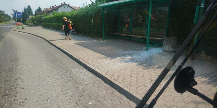 Kolejna wybita szyba na przystanku