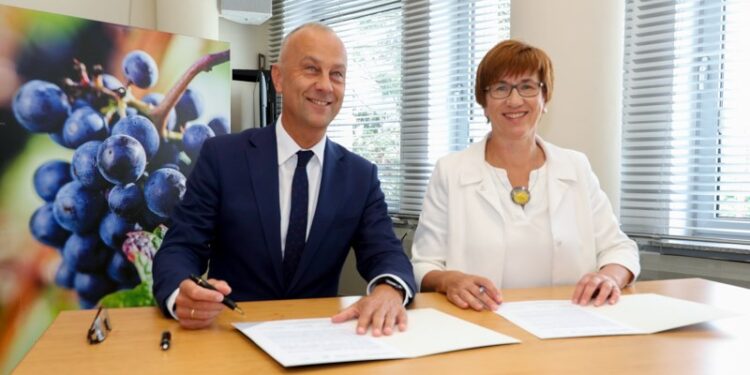 Lubuskie i Brandenburgia wspólnie o rozwoju kolei