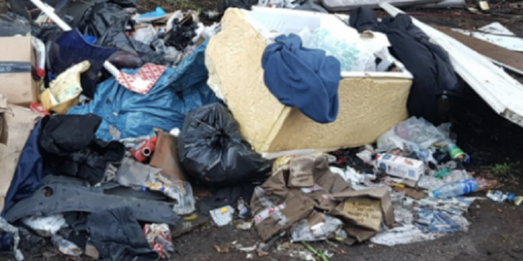 Dzicy mieszkańcy „Przemysłówki”