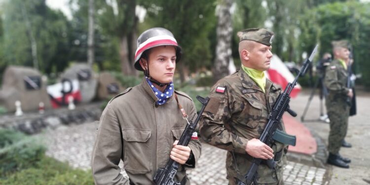 autor: Piotr Wiśniewski