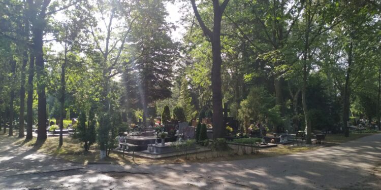 autor: Piotr Wiśniewski