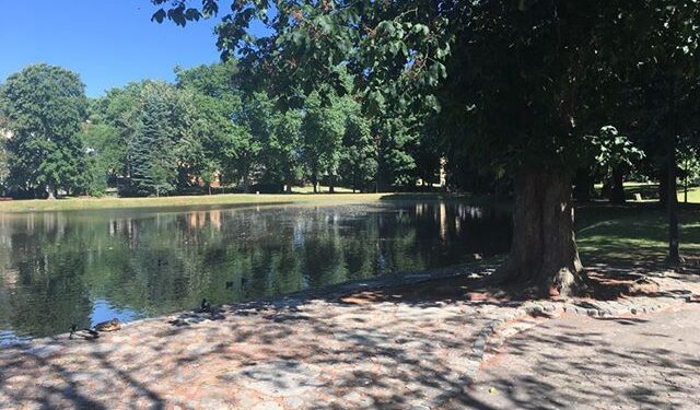 Parki z nową zielenią