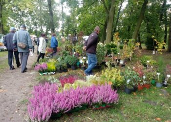 Jesienny kiermasz ogrodniczy w Gorzowie