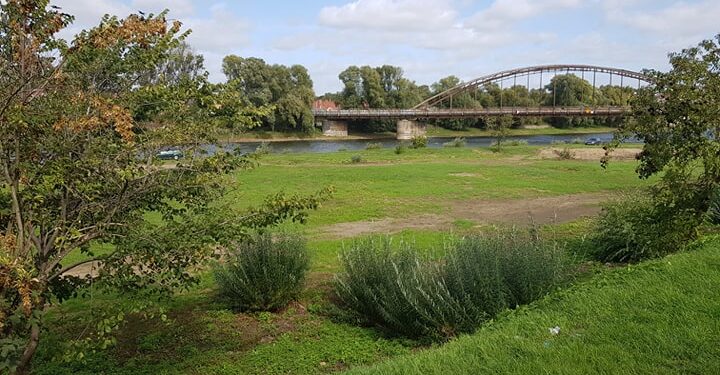 Co dalej ze sporną częścią błoni?