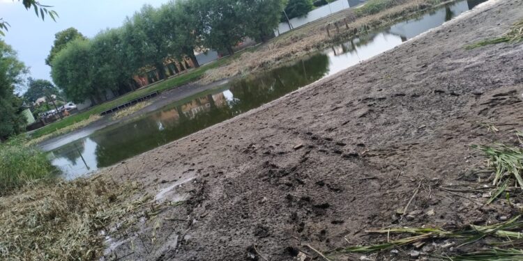 Trwa oczyszczanie stawu w Wawrowie