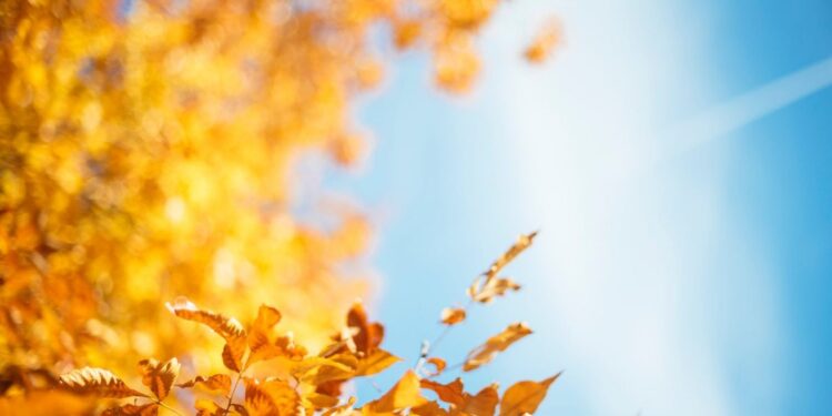 Dziś zaczęła się astronomiczna jesień