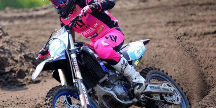 Brązowe rodzeństwo