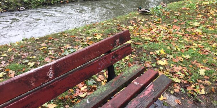 Nie ma rady na ptasie odchody?