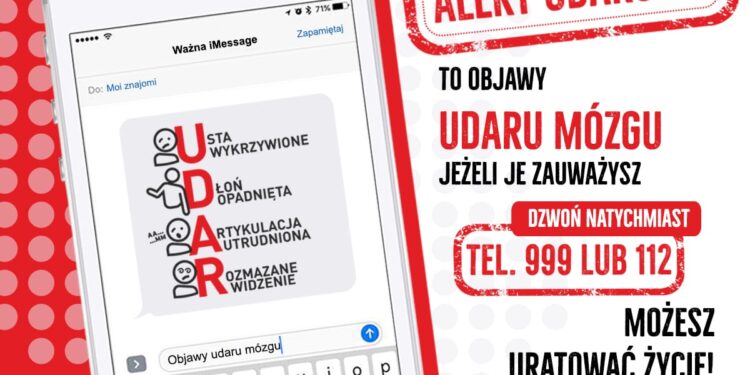 Międzynarodowy Dzień Udaru Mózgu