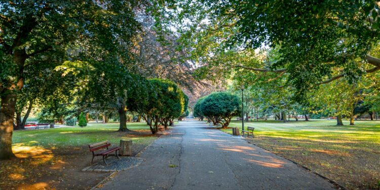 Czas na prace w parku Róż