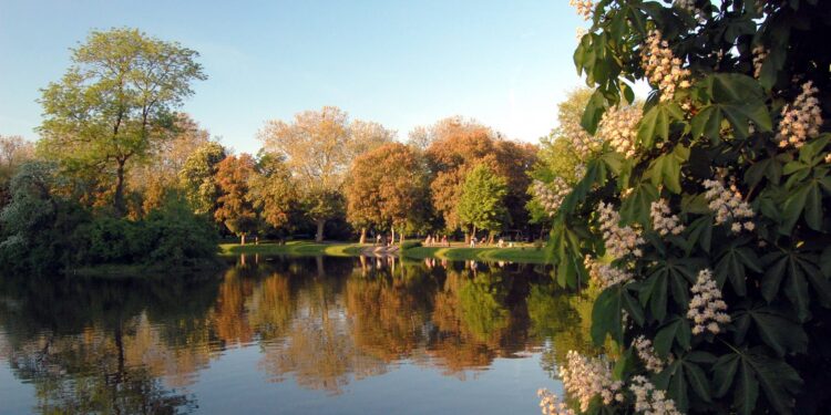 Park Róż pięknieje