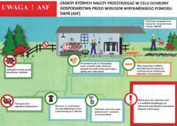 ASF w naszym województwie