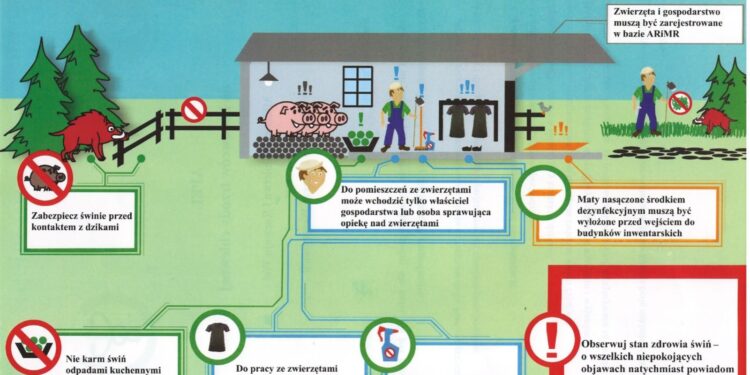 ASF w naszym województwie
