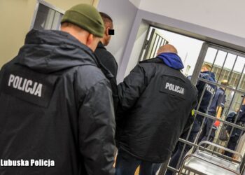 Zatrzymania i zarzuty usiłowania zabójstwa