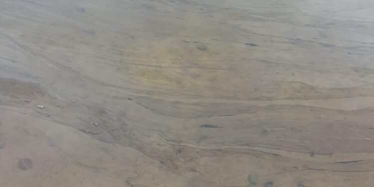 Ktoś zanieczyścił jezioro w Kłodawie