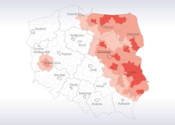 Ardanowski: Nie bagatelizujemy lubuskich przypadków ASF