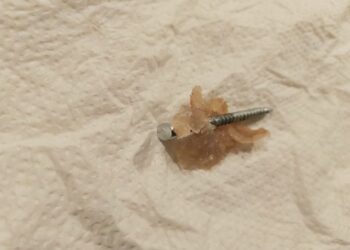 autor: Katarzyna z osiedla Piaski