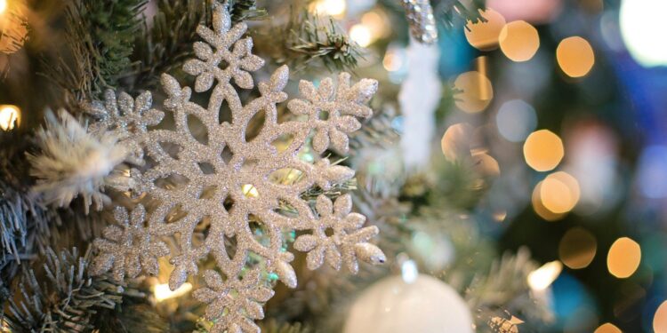 Jak sztuczne choinki szkodzą środowisku [WIDEO]
