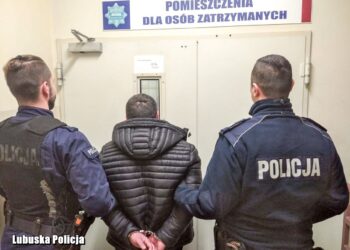Obcokrajowiec próbował przekupić policjantów