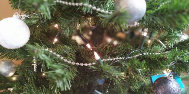 autor: Piotr Wiśniewski