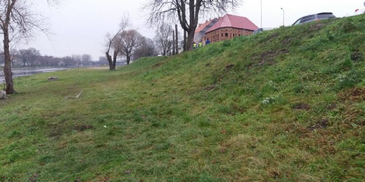 Wielkie przedświąteczne sprzątanie