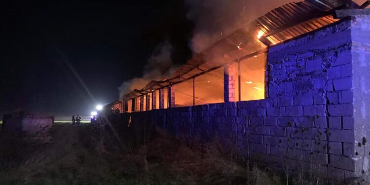 Pożar kurnika pod Gorzowem {ZDJĘCIA}