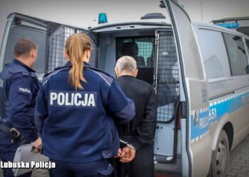 Areszt dla podejrzanego o zabójstwo konkubiny i znieważenie jej zwłok