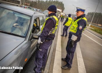 Akcja służb na S3 [ZDJĘCIA, WIDEO]