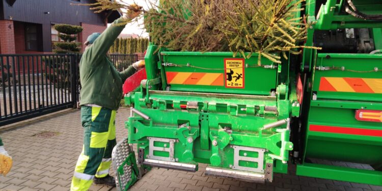 Eneris odbierze choinki [HARMONOGRAM]