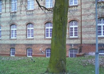 Szpital otwiera poradnię geriatryczną