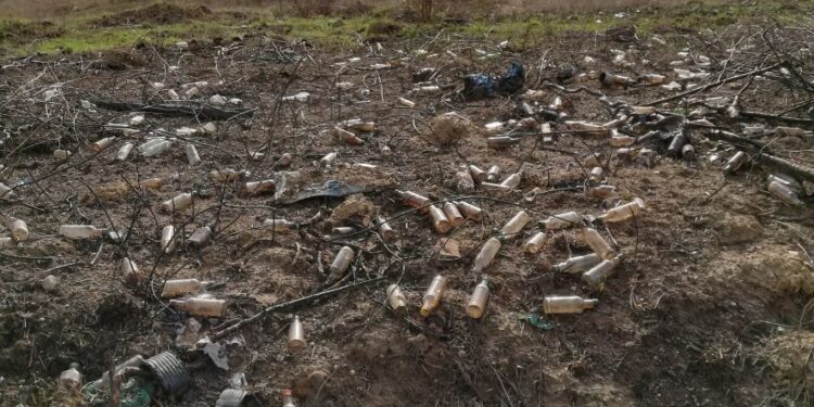 T. Manikowski: „Małpki” to coraz większy problem