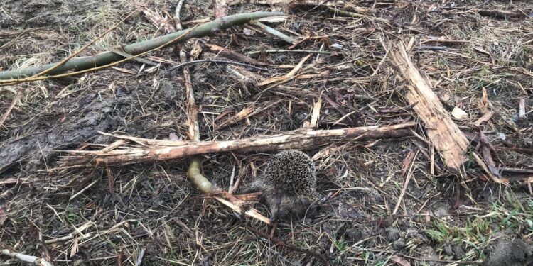 KO o funduszach na onkologię