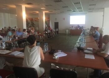 Miejsce Gorzowa w strategii rozwoju województwa