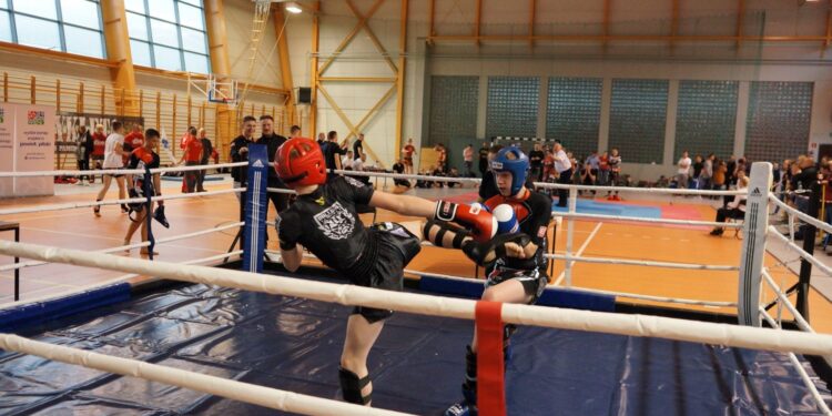 Czterech powalczyło, połowa zwycięsko