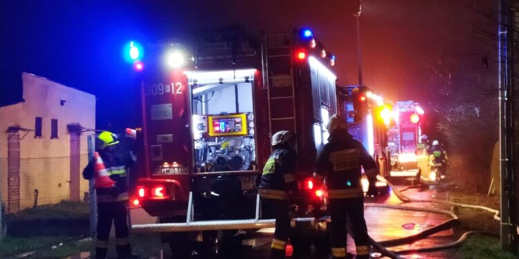 Strażacy walczyli z pożarami w Gorzowie i okolicach