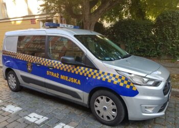 Czy można rozpalić ognisko w swoim ogrodzie?