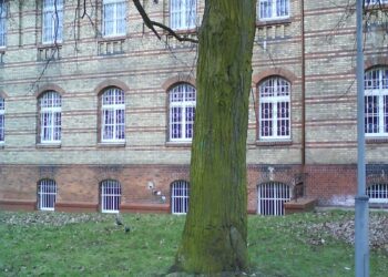 Przy ul. Walczaka powstaje szpital zakaźny