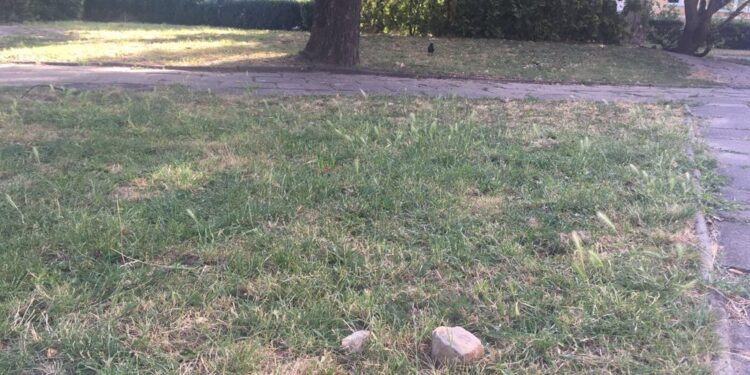 Policjanci i strażnicy wzmagają czujność