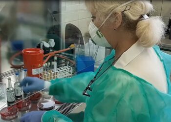 „Nie narzekaj. Inni mają gorzej”. Apel policjantów o współpracę