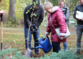 Mamy prawo przebywać na działkach ogrodowych