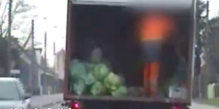 Śmieciarka na podwójnym gazie