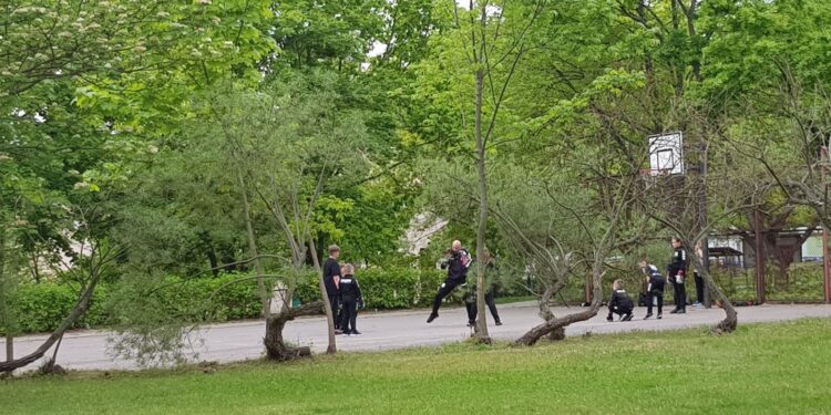 Kickbokserzy Bulldoga trenują „pod chmurką” i czekają na powrót turniejów