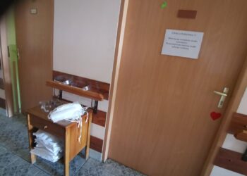 Jak funkcjonują gorzowskie DPS-y?