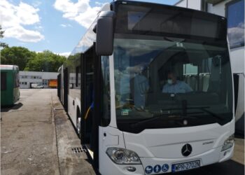 MAN Lion’s City Hybrid. Perełka autobusowa w Gorzowie