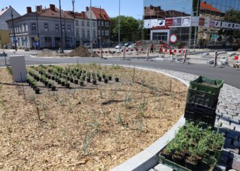 Raport z ul. Sikorskiego [ZDJĘCIA]