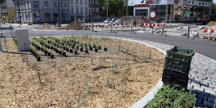 Raport z ul. Sikorskiego [ZDJĘCIA]