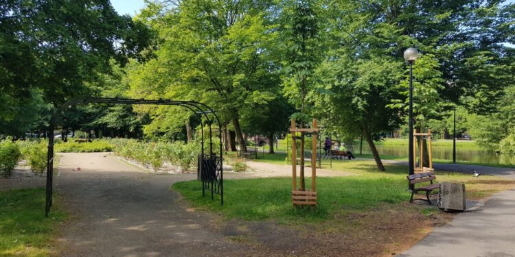 Spotkanie w sprawie „parku róż”