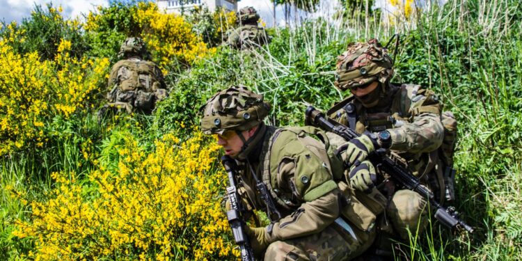 Armia wzywa i płaci za ćwiczenia