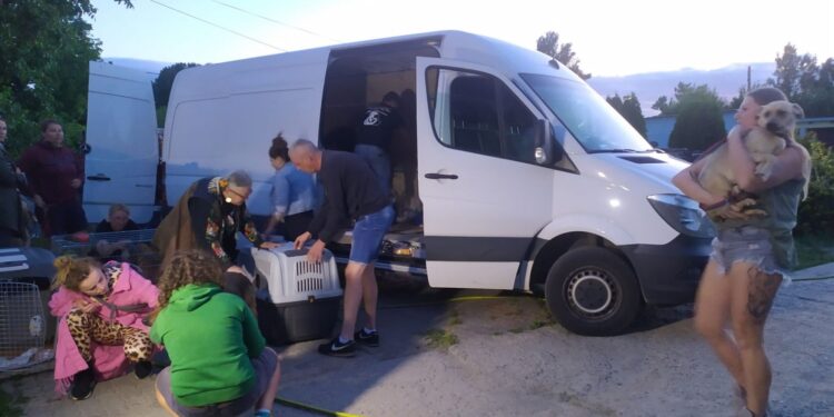 Azorki pomogły „Radysiakom”